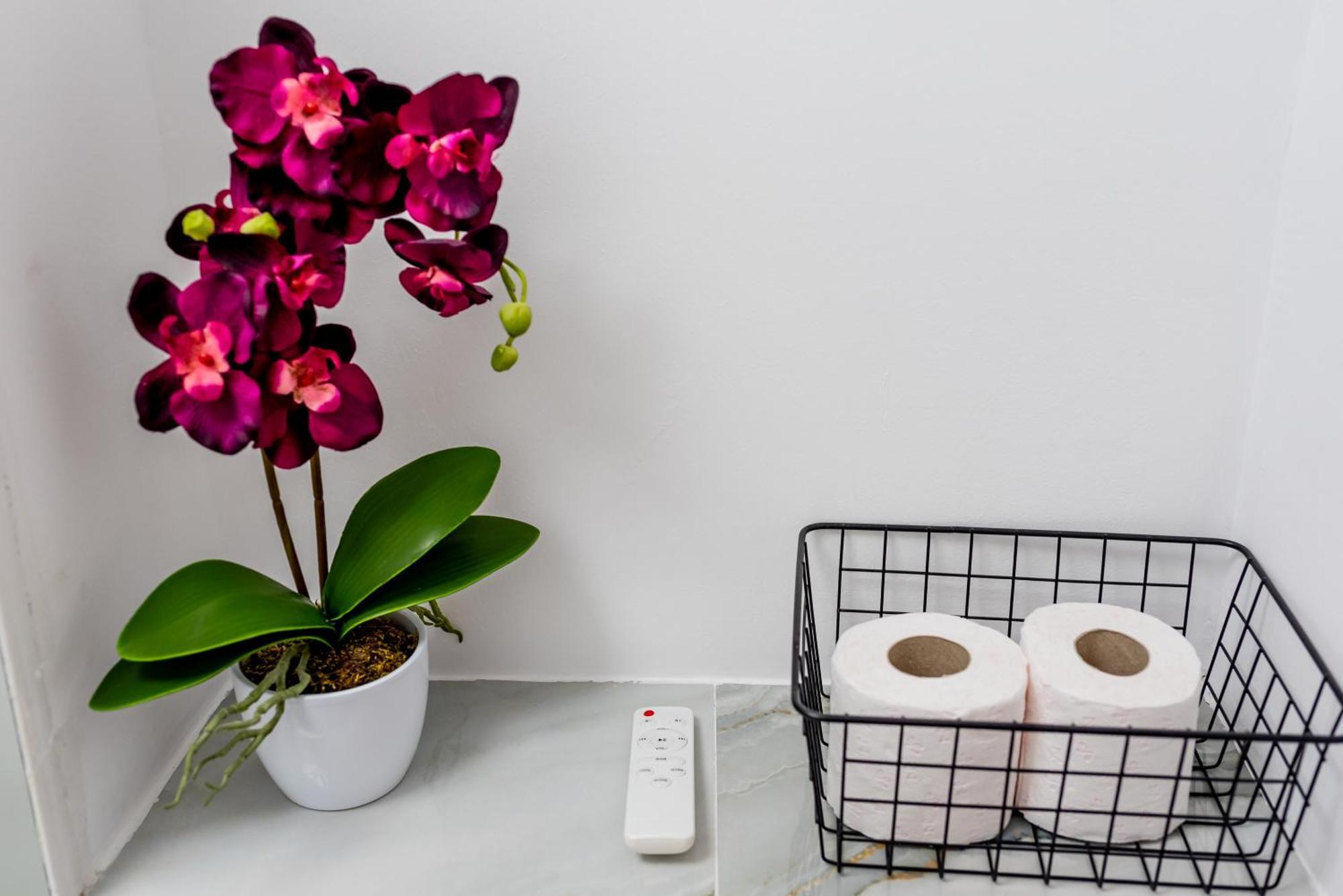 Apartmán Lady-S Kluž Exteriér fotografie